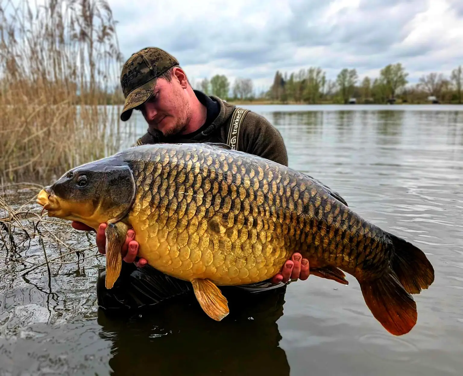 Steve With a stunning 42:8lb common from Bluebells Lakes