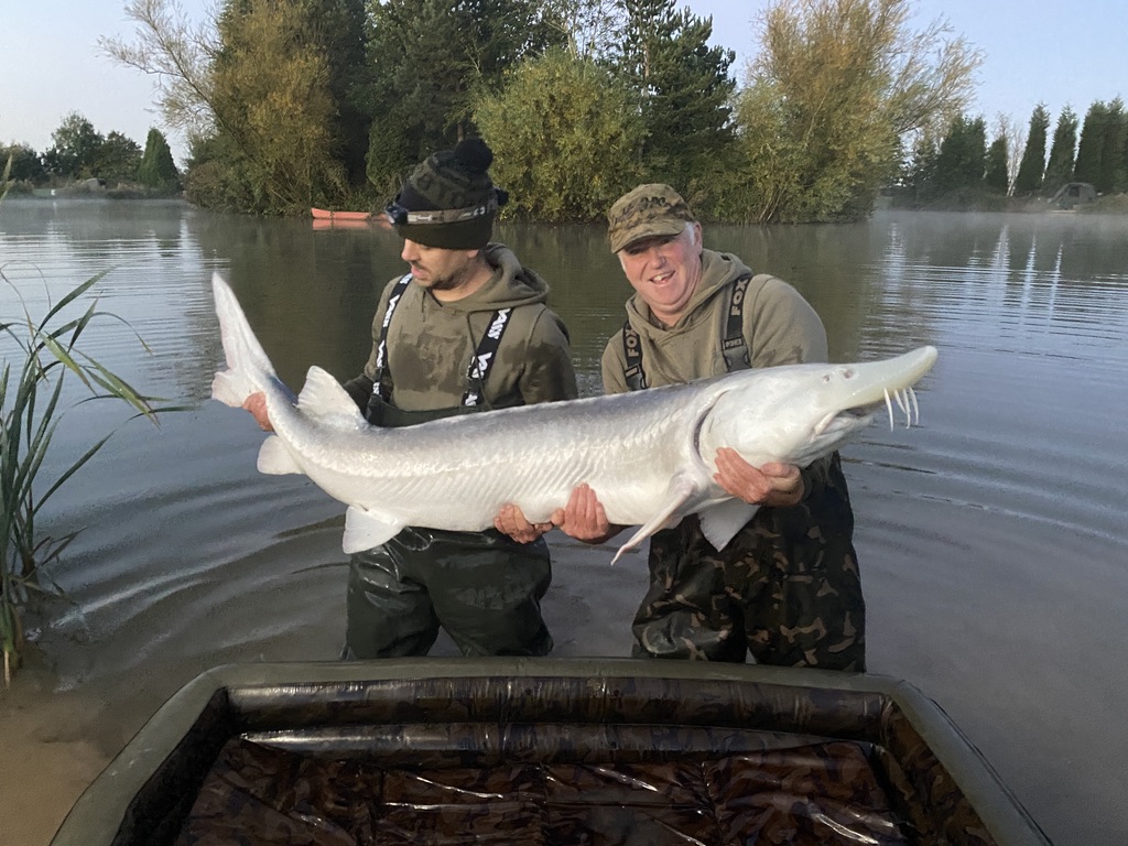 106lb Sturgeon caught on TikTok live - OCT 22